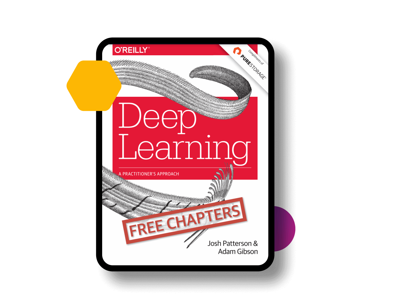 o-reilly-deep-learning-book-pure-storage